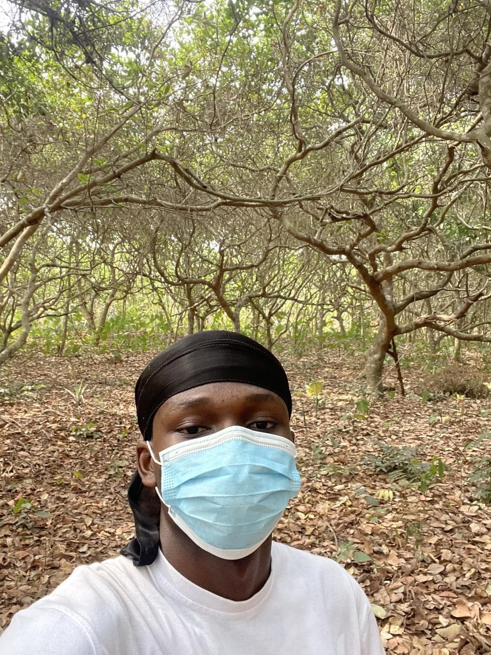 Drone mapping in Bono Region