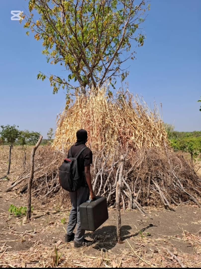 Fieldwork and yam protection